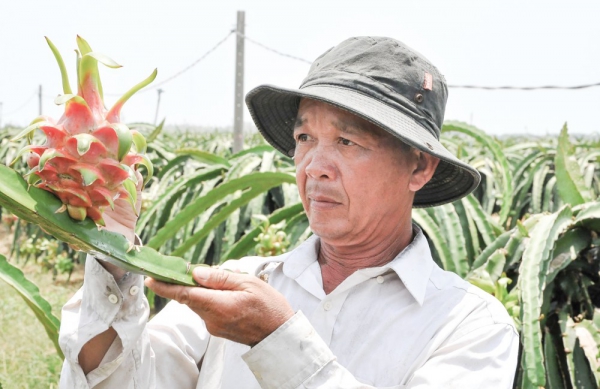 Chuyển đổi tư duy đầu tư làm kinh tế nông nghiệp