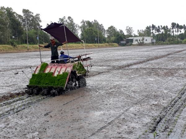 Các mô hình sản xuất hiệu quả góp phần phát triển kinh tế nông nghiệp