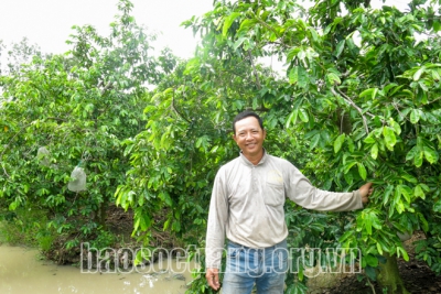 Cây trồng “sống” cùng hạn, mặn - kỳ 2