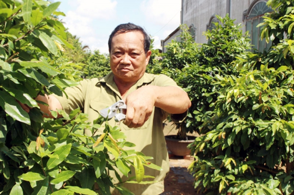 Thương binh Hai Trưng làm giàu từ chăn nuôi, trồng mai vàng