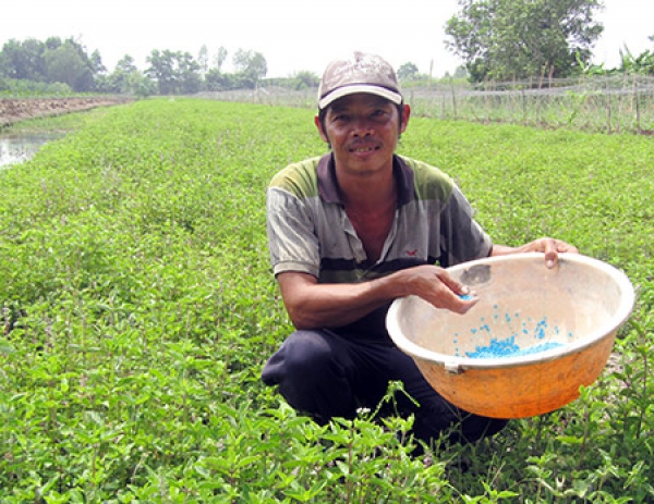 Nâng cao thu nhập từ chuyển đổi cây trồng