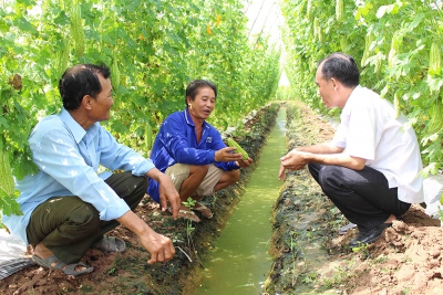 Long An đẩy mạnh chuyển dịch cơ cấu cây trồng, vật nuôi