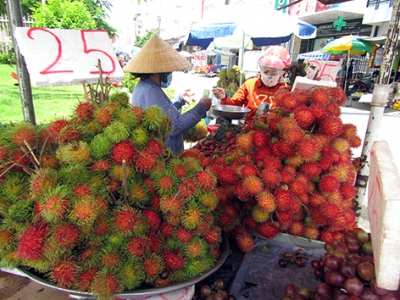 Chôm chôm đầu mùa được giá