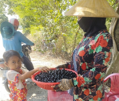 Mùa trâm lại về trên quê hương Bảy Núi