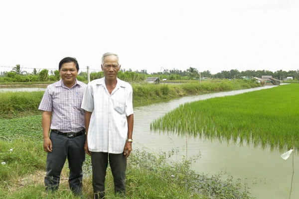 Tôm càng xanh “ôm chân” cây lúa