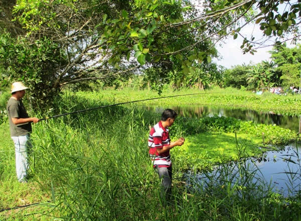 Đến rừng U Minh Thượng