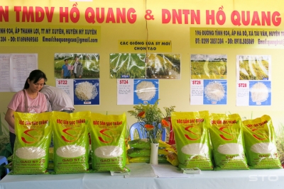 Lúa đặc sản chiếm hơn 50% diện tích xuống giống