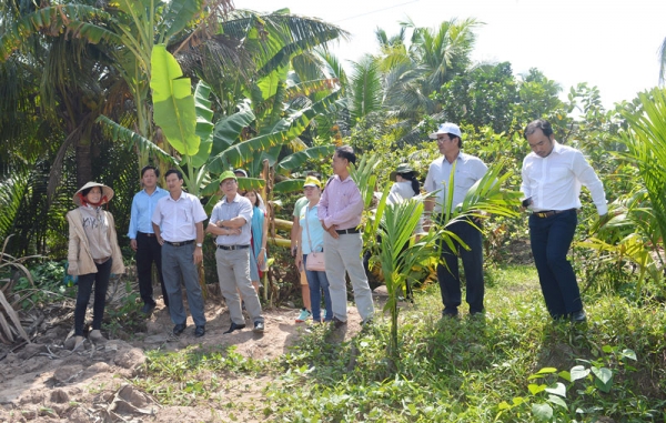 Giồng Trôm tập trung nhiều giải pháp phát triển du lịch