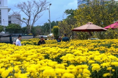 Nhộn nhịp chợ hoa ngày Tết