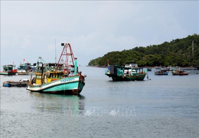 Gỡ cảnh báo &#039;&#039;thẻ vàng&#039;&#039; IUU để phát triển nghề cá bền vững