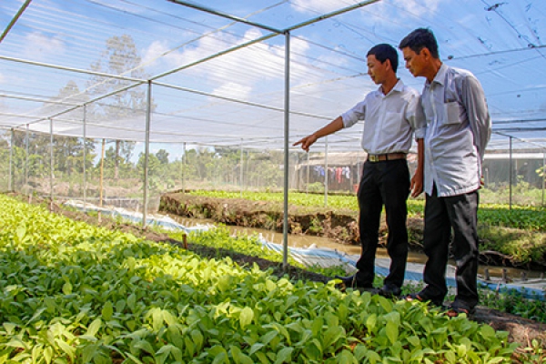 Khơi thông thị trường cho nông sản