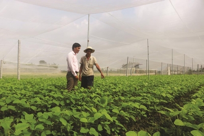 Thêm kênh tiêu thụ nông sản an toàn cho nông dân