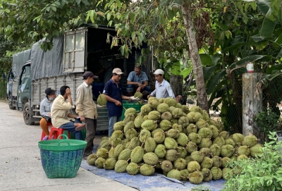 Để khai thác hiệu quả thị trường EU từ EVFTA