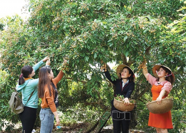 Khu du lịch Sông Trẹm - điểm đến khám phá thiên nhiên tuyệt vời ở Cà Mau