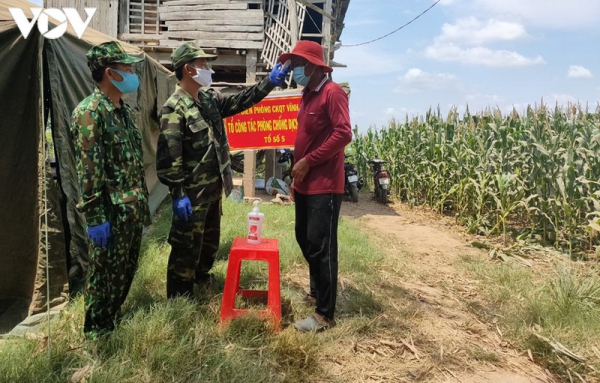 An Giang kiểm soát chặt biên giới để phòng, chống bệnh Chikungunya