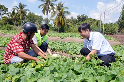 Hiệu quả chuyển đổi cây trồng