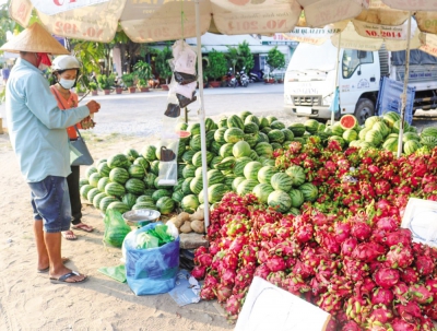 Điểm yếu của trái cây đồng bằng: Bảo quản, chế biến