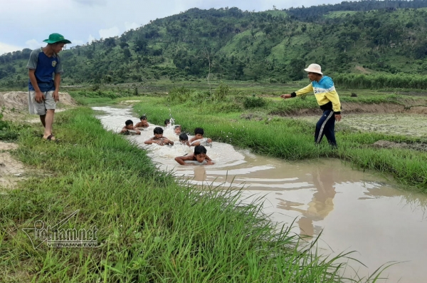 3 thanh niên chăn bò ngăn suối, làm điều cảm động dưới chân núi lửa