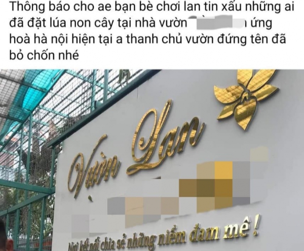 Chủ vườn lan &quot;ôm&quot; tiền tỉ bỏ trốn: Giám đốc Công an Hà Nội chỉ đạo triệu tập những người liên quan