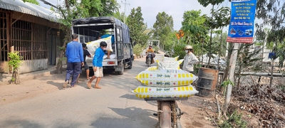 Hỗ trợ giống, vật tư nông nghiệp mô hình Liên kết sản xuất, tiêu thụ hạt giống lúa xác nhận 1