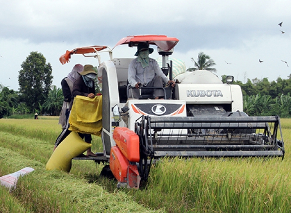 Tìm hướng phát triển nông nghiệp bền vững