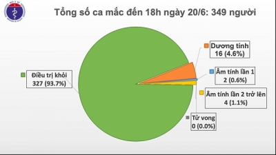 Việt Nam còn 22 ca Covid-19, BN 91 có thể sớm được về nước