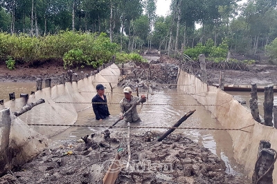 Ngậm ngùi sau cơn sóng dữ