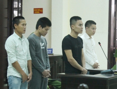 Quảng Trị: Người nuôi ong bị nhóm thanh niên làm “luật”, chiếm tài sản
