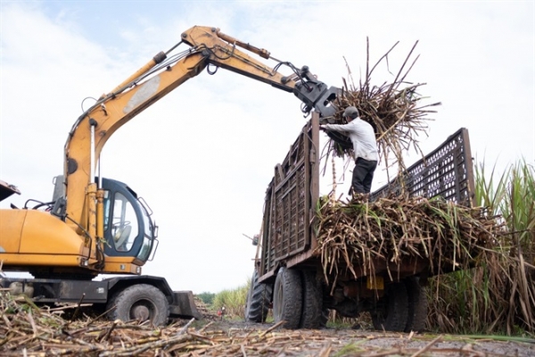 Công nghệ chế biến nông sản Việt Nam ở mức trung bình của thế giới