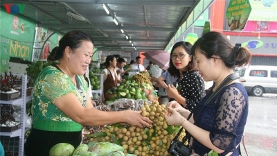 Gần 30 tấn nhãn huyện Sông Mã xuất khẩu chính ngạch sang Trung Quốc