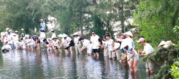 Khu nghỉ dưỡng L’Alya Ninh Vân Bay cùng du khách hưởng ứng phong trào trồng rừng ngập mặn