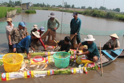 Phát huy tiềm năng thúc đẩy nuôi trồng thủy sản