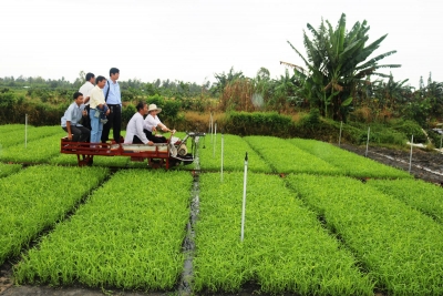 Nâng cao năng lực sản xuất đáp ứng nhu cầu thị trường