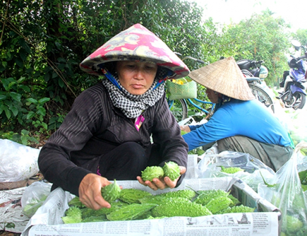 Mưa nhiều, rau màu tăng giá