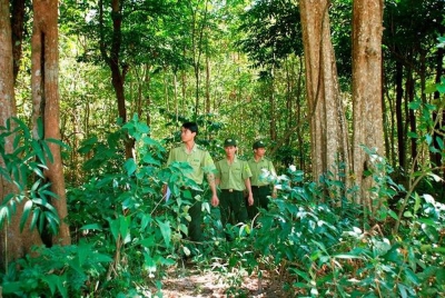 Đẩy mạnh phòng, chống cháy rừng mùa khô hạn