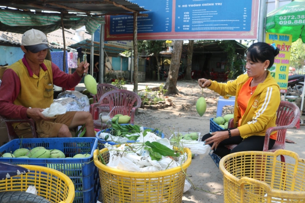 Liên kết, phát huy mô hình sản xuất nông nghiệp hiệu quả