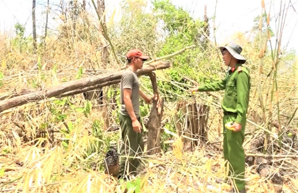 Điều tra làm rõ hai đối tượng chặt phá hơn 1,2 ha rừng