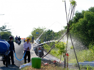 Phát triển mảng xanh, bảo vệ môi trường