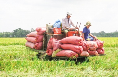 Cần đầu tư tương xứng cho nông nghiệp