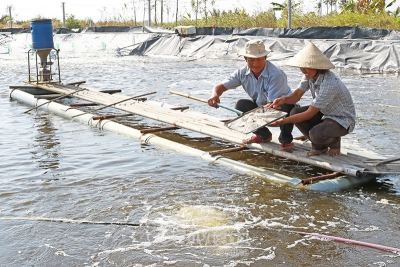 Phát huy thế mạnh kinh tế thuỷ sản