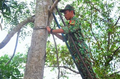 Vĩnh Long: Chủ động ứng phó thiên tai thời điểm giao mùa