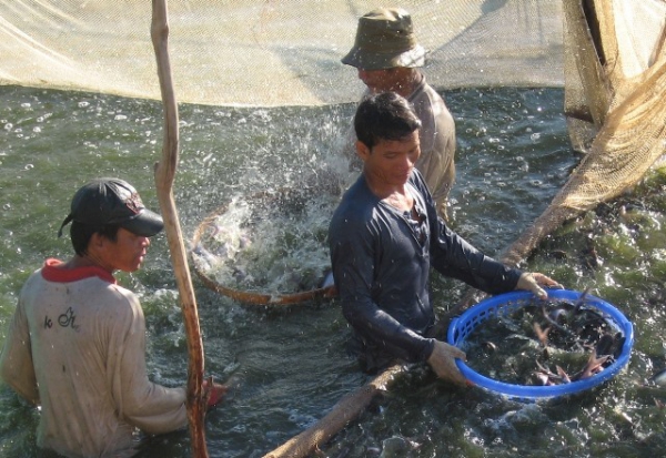 Giải quyết việc làm cho gần 14.000 lao động trên địa bàn