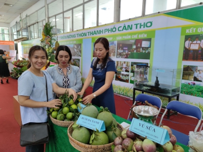 Đầu tư hoàn thiện chuỗi giá trị trái cây ĐBSCL