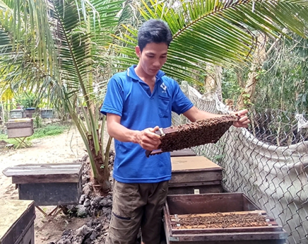 Chàng trai trẻ đam mê nuôi ong lấy mật