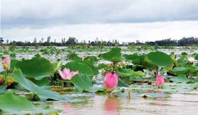 Trải nghiệm trên đồng nước nổi