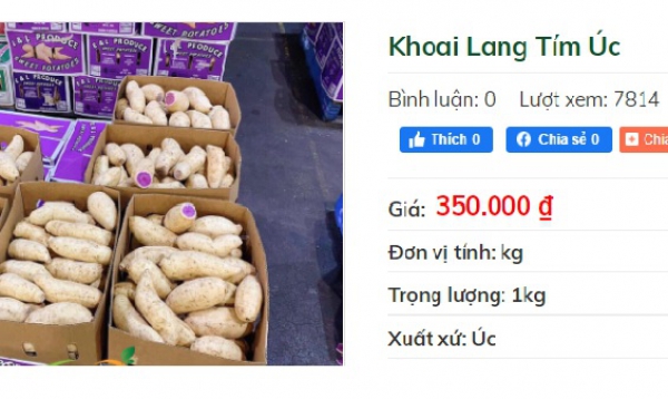 Khuyến mãi sâu, khoai lang tím Úc vẫn có giá 100.000 đồng/kg