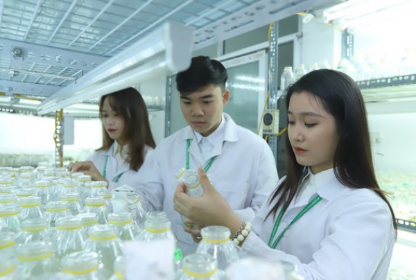 Các trường đại học cần lên phương án dự phòng trong công tác tuyển sinh năm 2021 ​