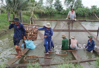 Lo cho đầu ra sản phẩm thủy sản!