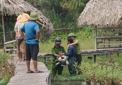 Bẫy “tàn sát” chim trời tái diễn tràn lan trên các cánh đồng ở Thanh Hóa