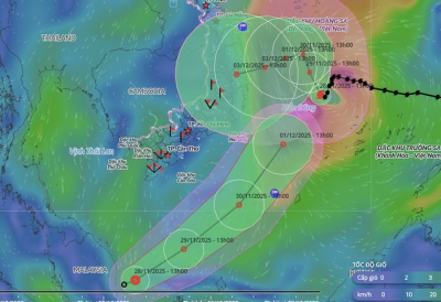 Xuất hiện &aacute;p thấp nhiệt đới giật cấp 9 hướng v&agrave;o Nam Biển Đ&ocirc;ng, b&atilde;o số 15 luẩn quẩn đổi hướng